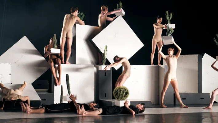 Cacti 2022_2.jpg.