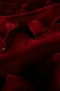 Närbild på stolar i röd sammet i Operans salong.