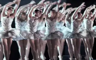 A group of ballerinas are performing in a show.