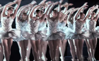 A group of ballerinas are performing in a show.