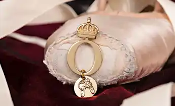 Pink pointe shoe with jewelry on the pointe.