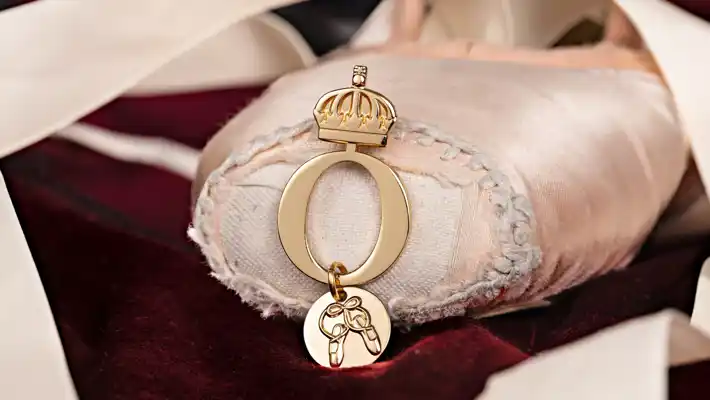 Pink pointe shoe with jewelry on the pointe.