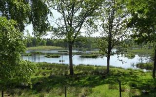 Sommarsverige.jpg.