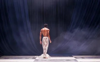 GUSTAVIA 20241010 Hl5403webb.