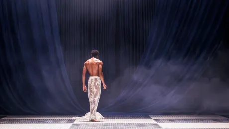 GUSTAVIA 20241010 Hl5403webb.