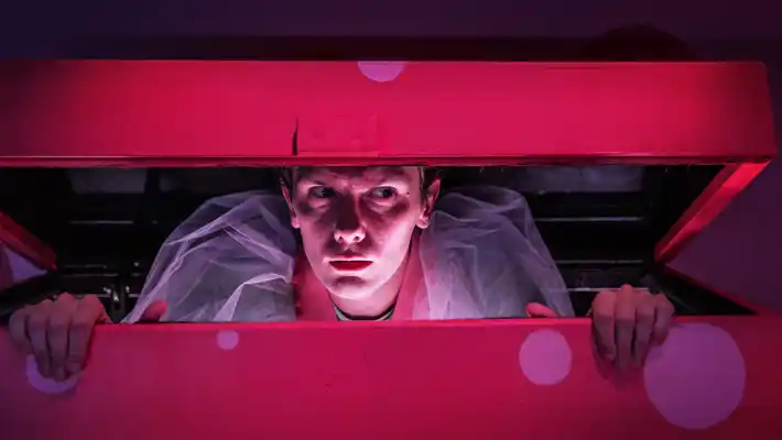 A boy with a slightly sly look peeks out from a toy box.