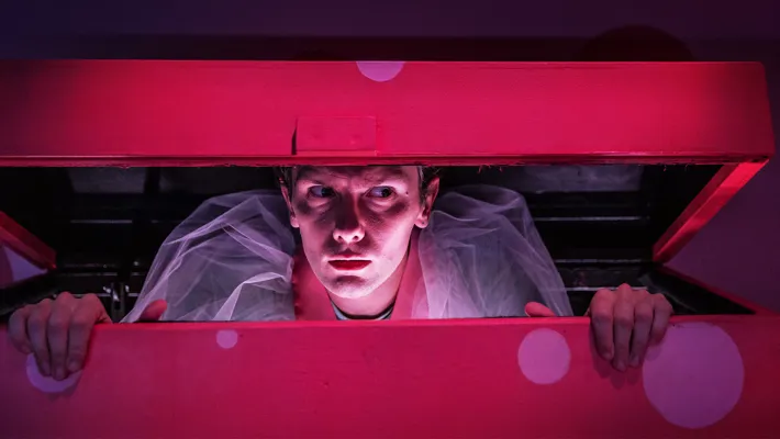 A boy with a slightly sly look peeks out from a toy box.
